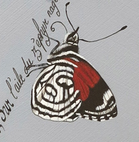 papillons-detail