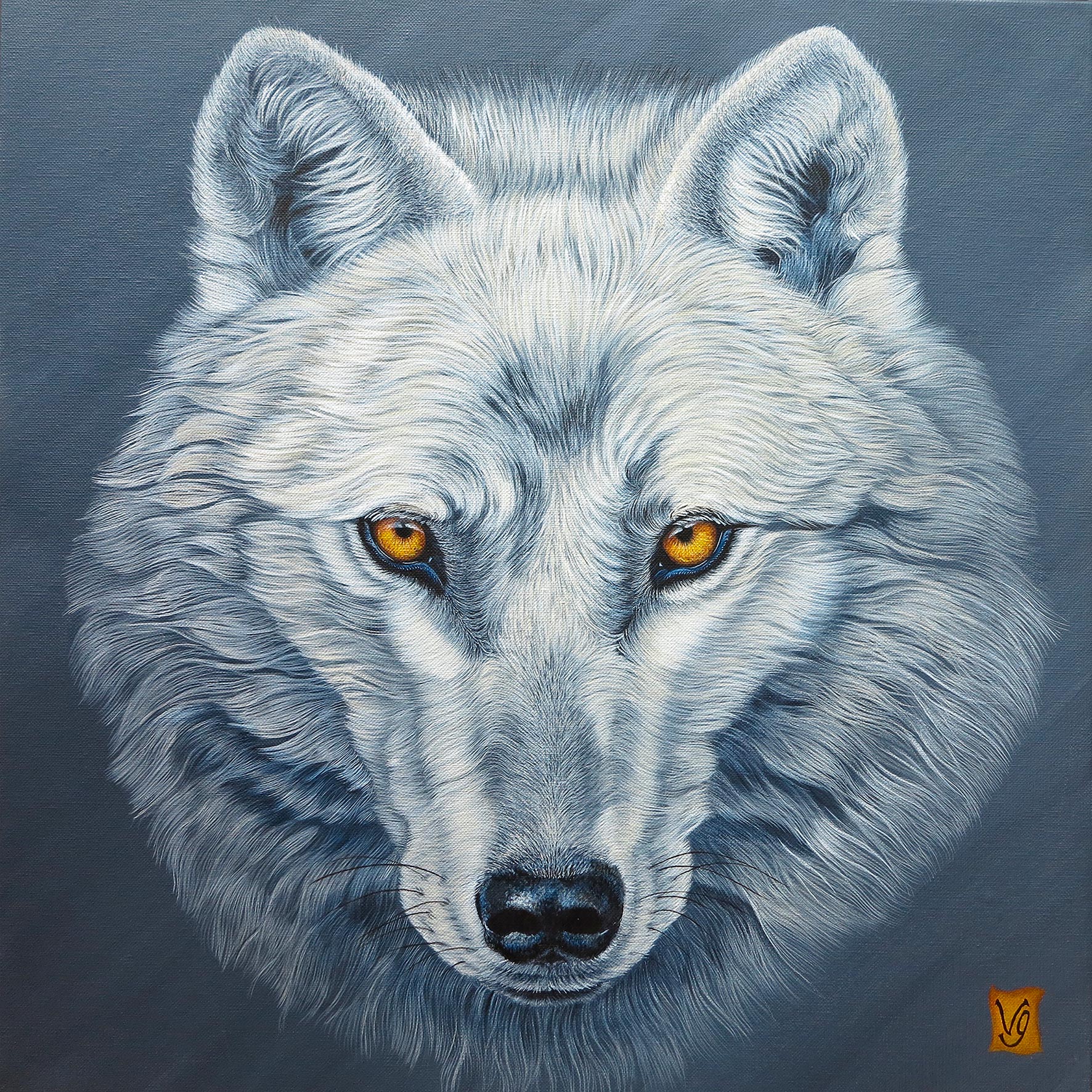 Venu du froid (loup arctique), Acrylique sur toile, 50 x 50 cm, 2021-Collection particulière